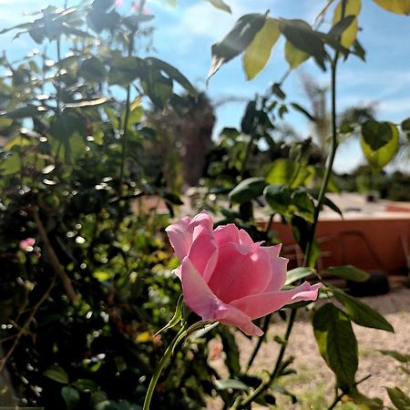 Guesthouse En Coveta Fuma- 엘 캄펠로 외부 사진