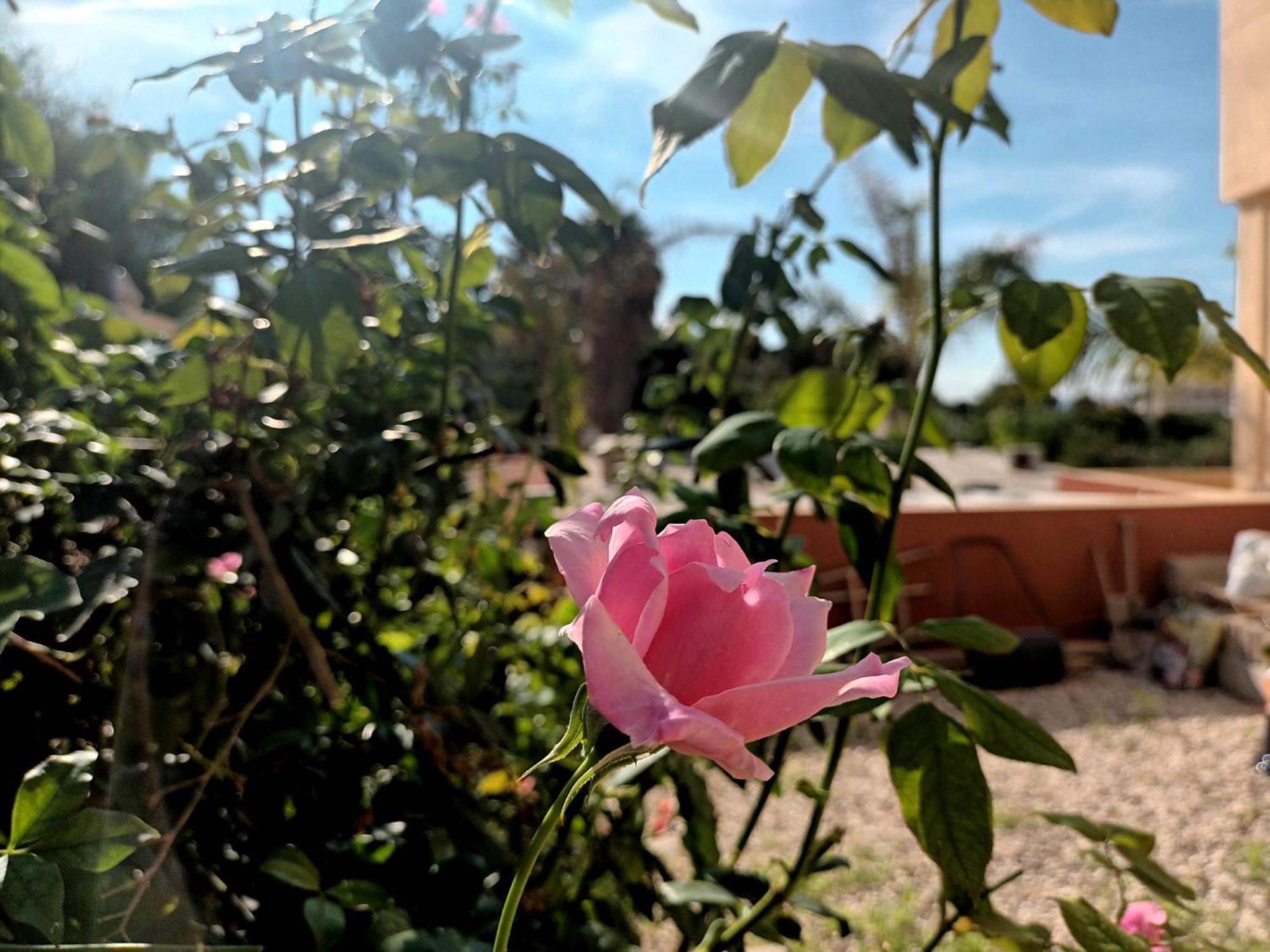 Guesthouse En Coveta Fuma- 엘 캄펠로 외부 사진