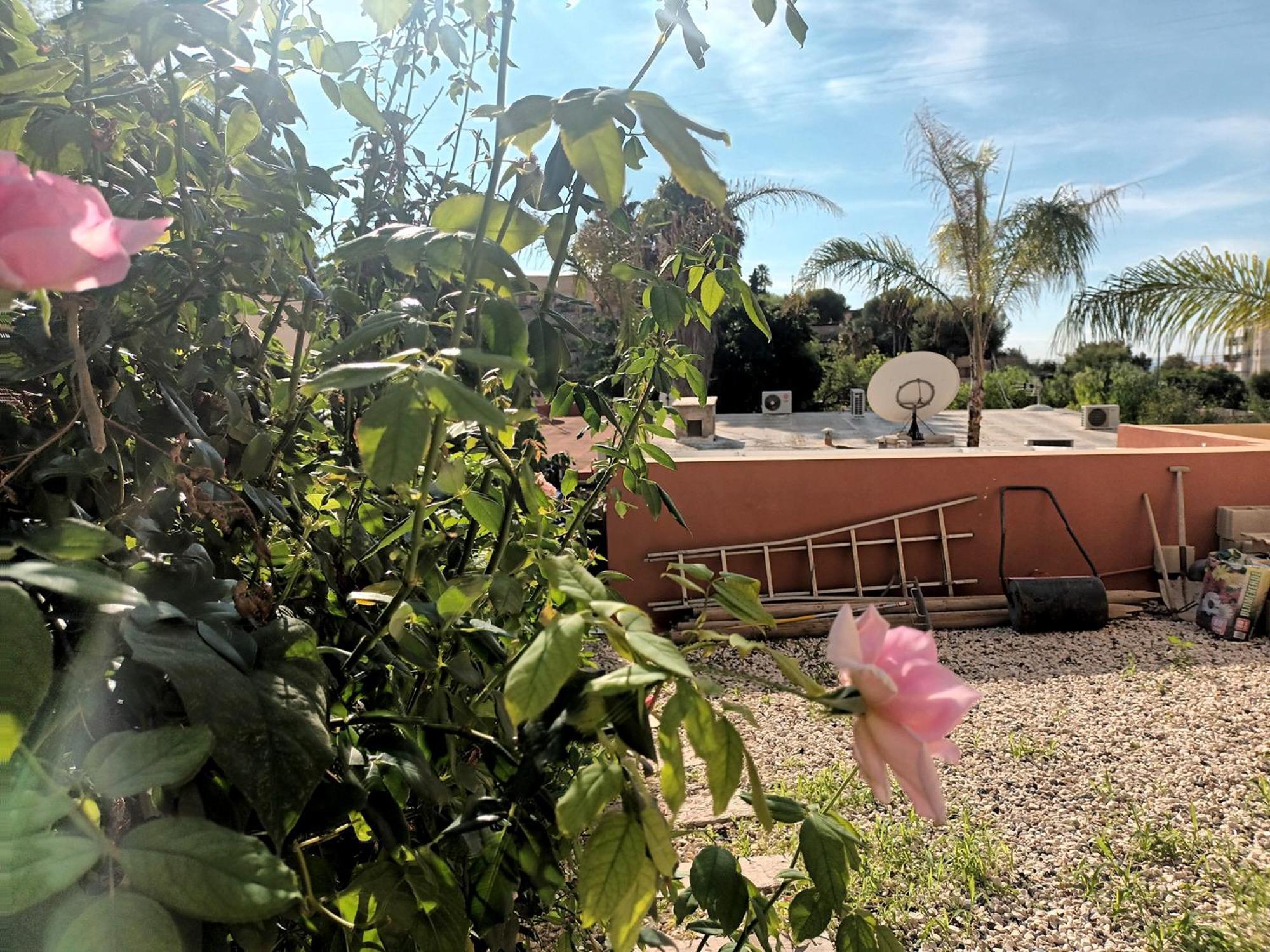 Guesthouse En Coveta Fuma- 엘 캄펠로 외부 사진